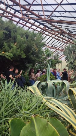 Мы вместе создаём будущее