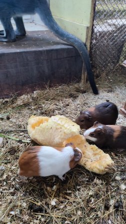 Природа и творчество