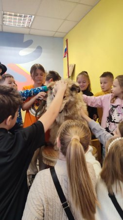 Номера пришлись по душе! Номера пришлись по душе!