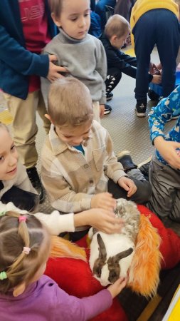 Номера пришлись по душе! Номера пришлись по душе!