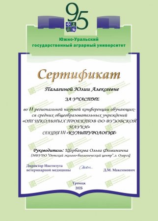 От школьных проектов до вузовской науки