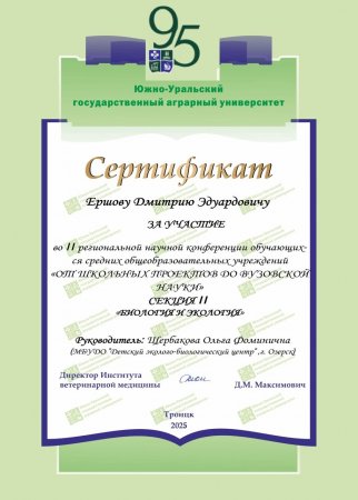 От школьных проектов до вузовской науки