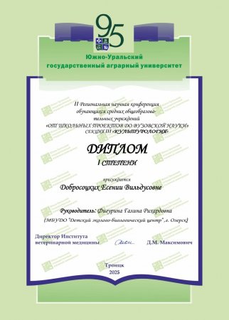 От школьных проектов до вузовской науки