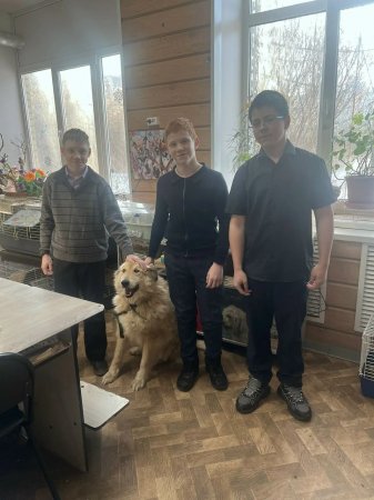 Домашние любимцы 2026