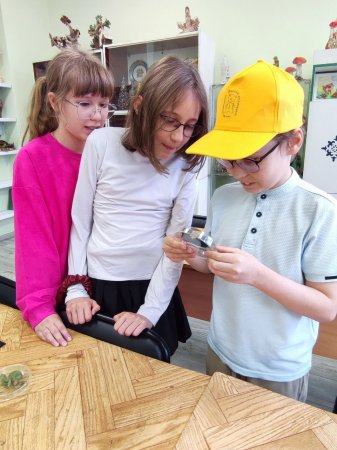 В ДЭБЦ прошёл конкурс «ЦветоЛаб» 2026